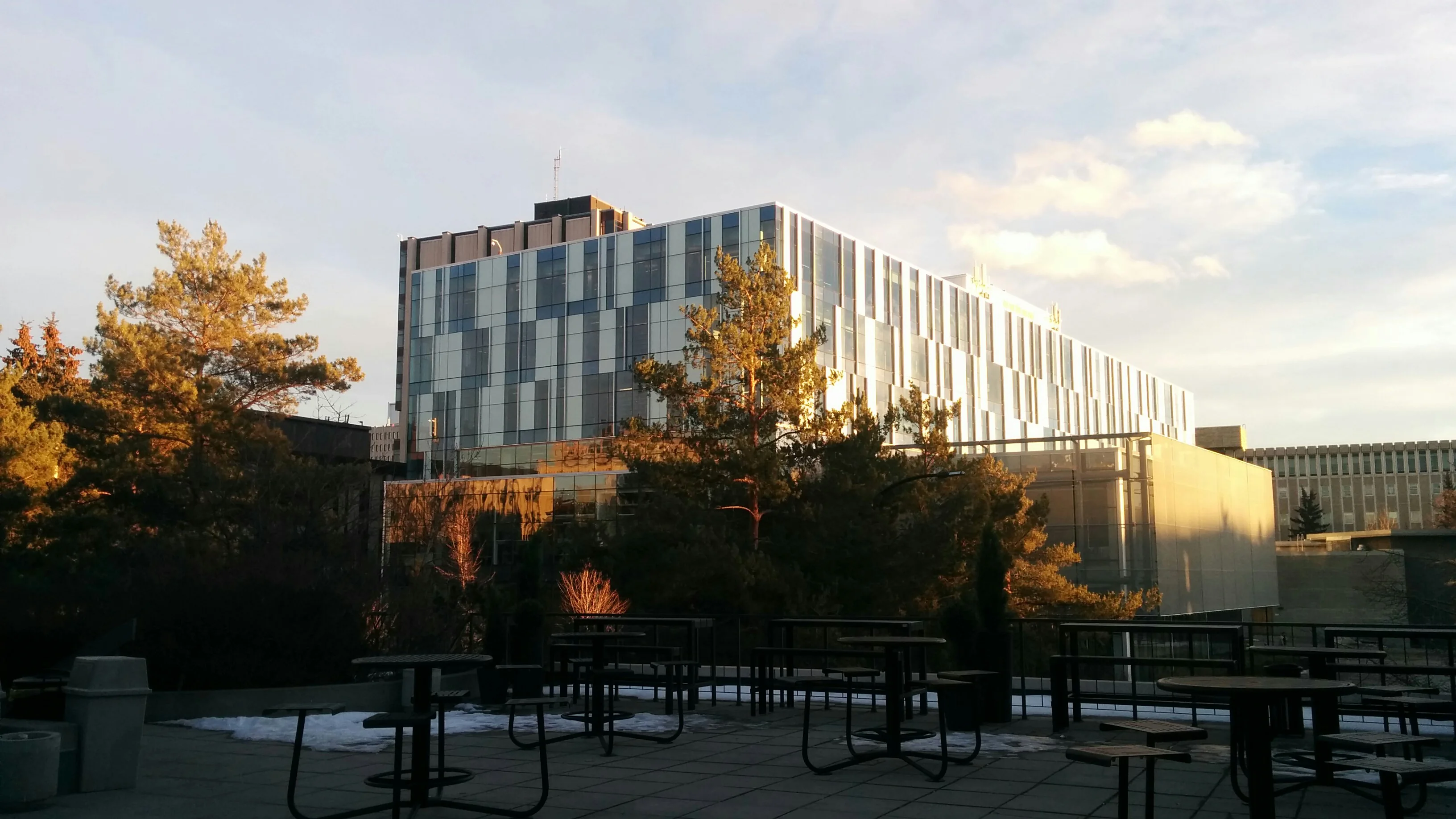 Taylor Family Digital Library at the University of Calgary, photographed in December 2015 by Jgcab